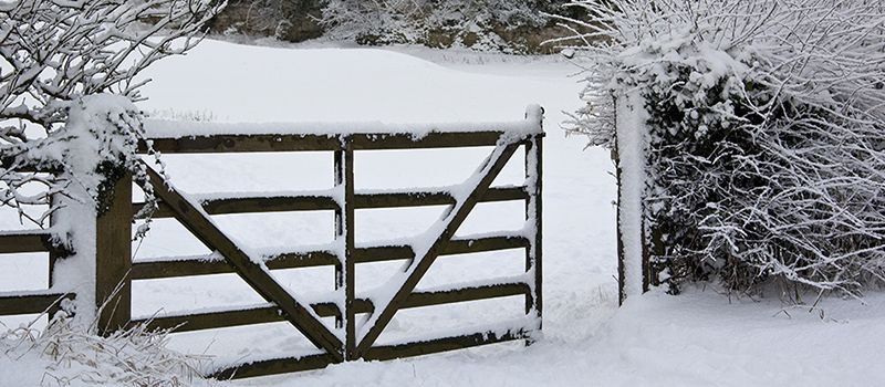 Winter 1963. The worst in British history